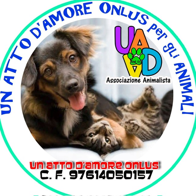 Un Atto D’Amore Onlus